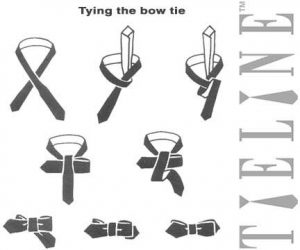 Tying the bow tie