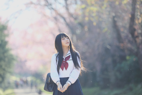 Japanese school girl dress looking sakura flower nature walkway